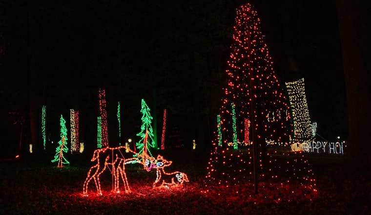 Downtown Lawrenceville Embraces Holiday Spirit with 38th Annual Tree Lighting and Atlanta Christkindl Market
