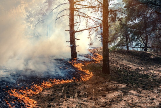 Durham County Officials Enforce Burn Ban Amid Rising Wildfire Risks
