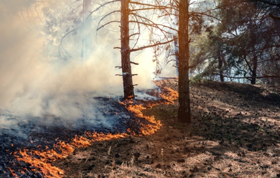Durham County Officials Enforce Burn Ban Amid Rising Wildfire Risks