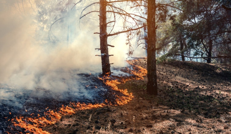 Durham County Officials Enforce Burn Ban Amid Rising Wildfire Risks