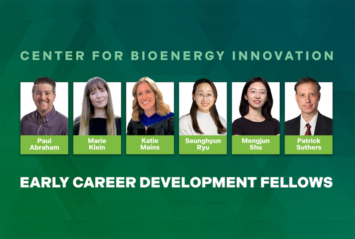 Early Career Development Program at Oak Ridge National Laboratory