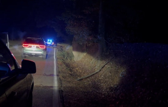 Early Morning Crash in Shelby County Results in One Fatality and One Injury on Quito Road