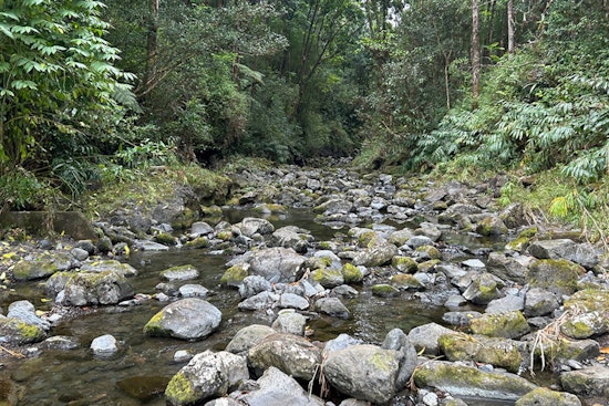 East Maui Water Rights Decision Delayed by BLNR Amid Community Pleas for More Time to Negotiate