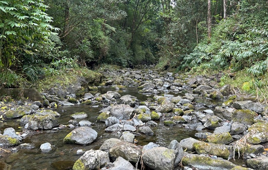 East Maui Water Rights Decision Delayed by BLNR Amid Community Pleas for More Time to Negotiate