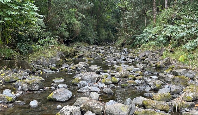 East Maui Water Rights Decision Delayed by BLNR Amid Community Pleas for More Time to Negotiate