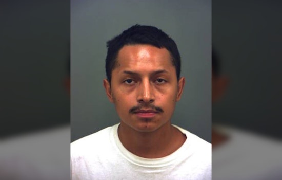 El Paso Cat Killing: Probation Deal Has Advocates Furious