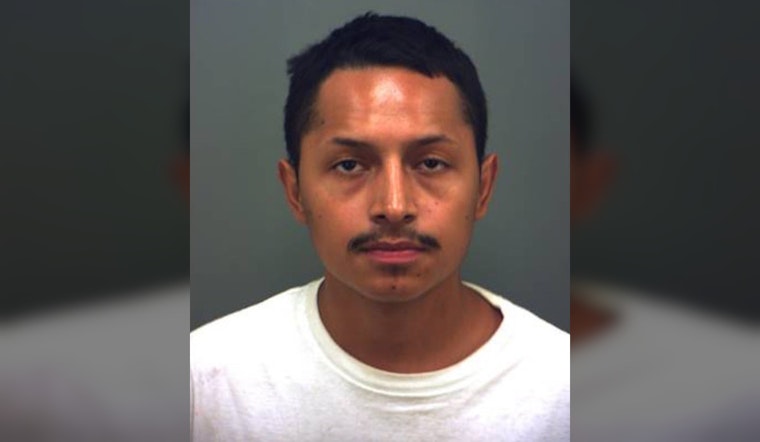 El Paso Cat Killing: Probation Deal Has Advocates Furious