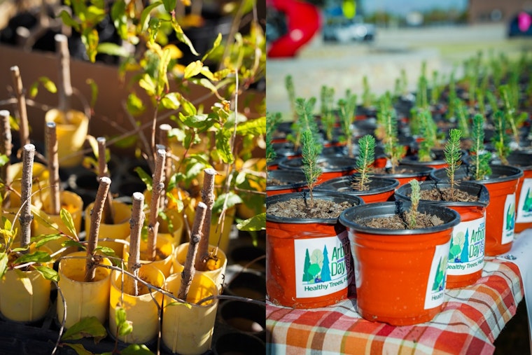 El Paso Celebrates Texas Arbor Day with Inspiring Tree Planting Ceremony and Educational Initiatives at Capistrano Park
