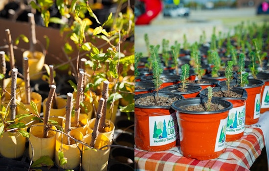 El Paso Celebrates Texas Arbor Day with Inspiring Tree Planting Ceremony and Educational Initiatives at Capistrano Park
