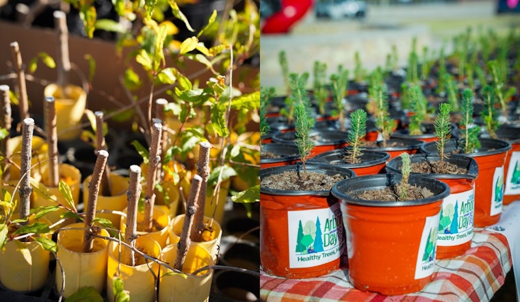 El Paso Celebrates Texas Arbor Day with Inspiring Tree Planting Ceremony and Educational Initiatives at Capistrano Park