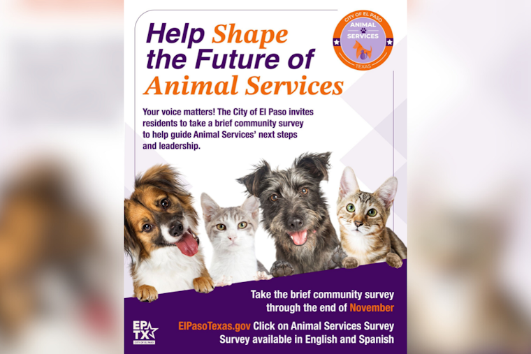 El Paso Seeks Public Input to Shape Future of Animal Services Through Community Survey