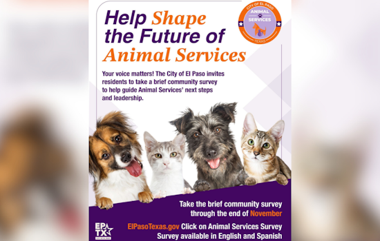 El Paso Seeks Public Input to Shape Future of Animal Services Through Community Survey