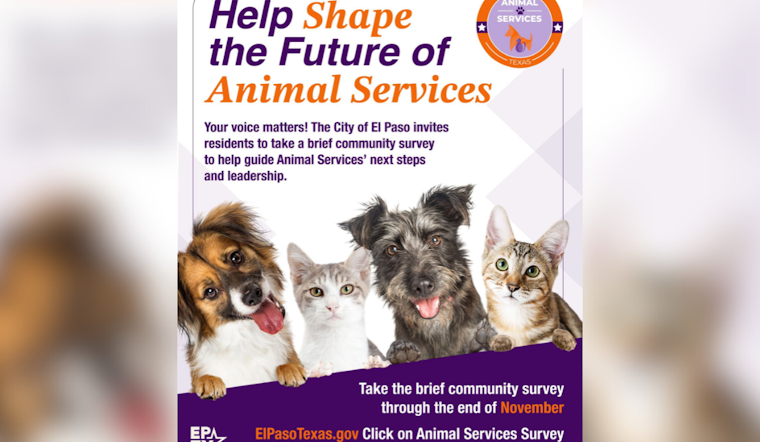 El Paso Seeks Public Input to Shape Future of Animal Services Through Community Survey