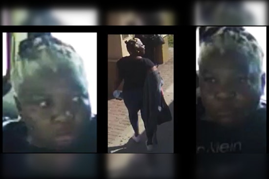 Elderly Woman Assaulted on Broward County Transit Bus, BSO Seeks Assailant