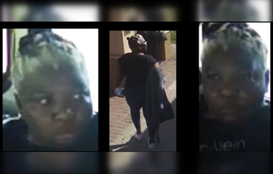 Elderly Woman Assaulted on Broward County Transit Bus, BSO Seeks Assailant