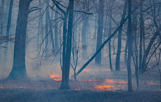 Elevated Wildfire Threat Looms Over North and Central Georgia Amid Dry Conditions and Warm Weather