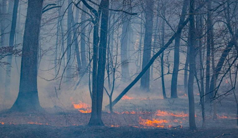 Elevated Wildfire Threat Looms Over North and Central Georgia Amid Dry Conditions and Warm Weather