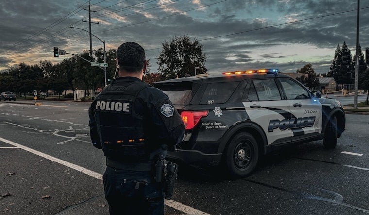 Elk Grove Pre-Dawn Raid Hauls In 61 Pounds Of Pot And DIY Bombs