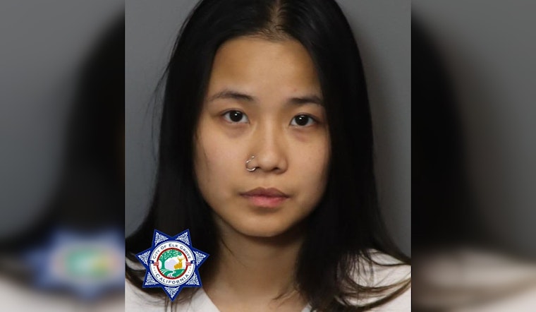 Elk Grove Shooting Suspect's Girlfriend Arrested as Accomplice, Police Search for Armed Suspect