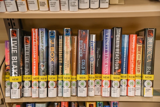 Englewood Library's Adult Winter Reading Program Invites Patrons to Broaden Their Literary Horizons