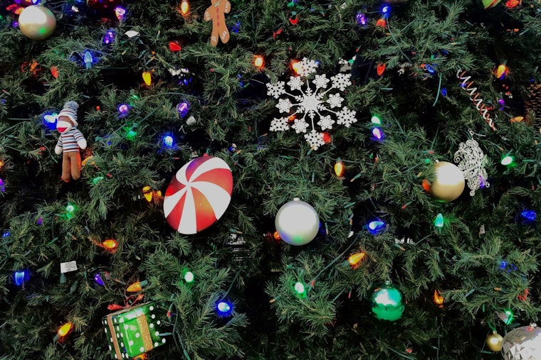 Englewood's Malley Giving Tree Initiative Spreads Holiday Warmth to Local Seniors