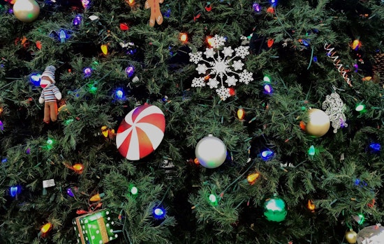 Englewood's Malley Giving Tree Initiative Spreads Holiday Warmth to Local Seniors