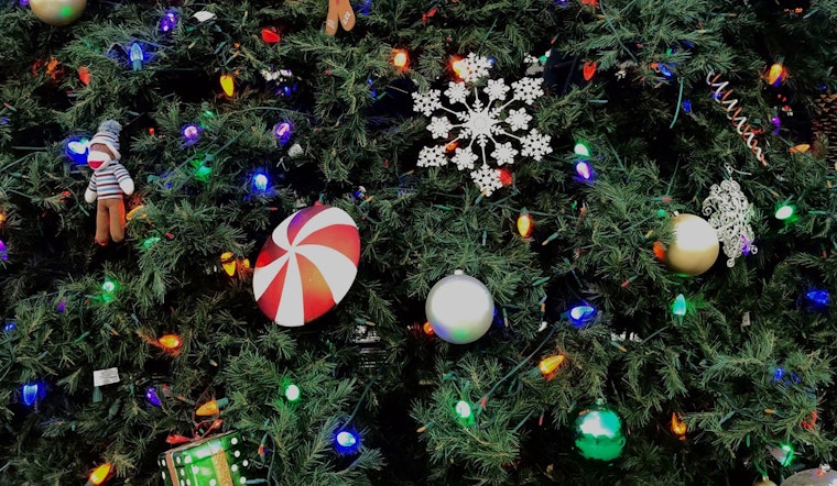 Englewood's Malley Giving Tree Initiative Spreads Holiday Warmth to Local Seniors