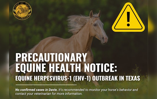 Equine Herpesvirus Outbreak in Waco Spurs Warnings to Horse Owners Across Texas and Neighboring States