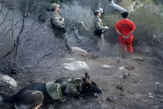 Escaped Felon Captured by San Diego Border Patrol Near Camp Cuyamaca