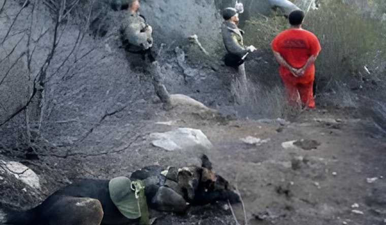 Escaped Felon Captured by San Diego Border Patrol Near Camp Cuyamaca