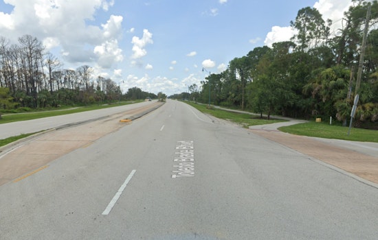 Expect Traffic Delays in Charlotte County as Public Works Commences Tree Trimming from Dec. 4-11