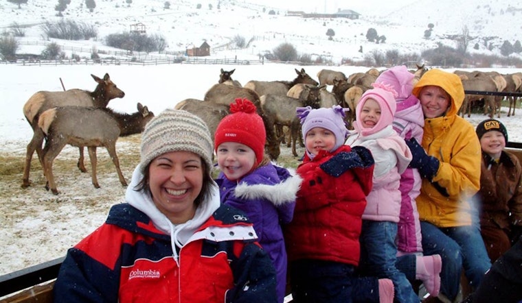 Experience Winter Wildlife Magic: Sleigh Rides Among Wild Elk at Utah's Hardware WMA