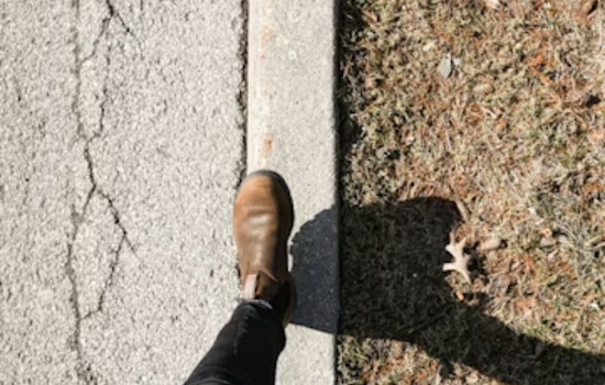 Fairfield Homeowners Could Get Stuck with Bills for Cracked Sidewalks and Problem Trees