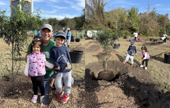 Family Tree Planting Effort Takes Root in Dallas with 'Branching Out' Event at Anderson Bonner Park