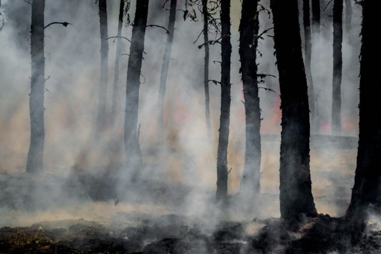 Firefighters Achieve 95% Containment of 22-Acre Brush Fire in West Miami-Dade, No Injuries Reported