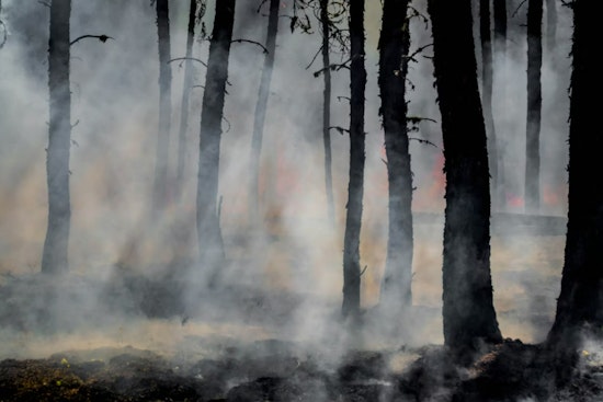 Firefighters Achieve 95% Containment of 22-Acre Brush Fire in West Miami-Dade, No Injuries Reported