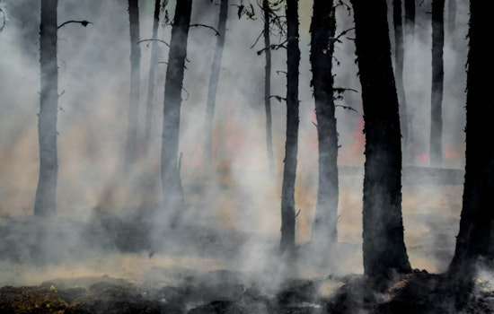 Firefighters Achieve 95% Containment of 22-Acre Brush Fire in West Miami-Dade, No Injuries Reported