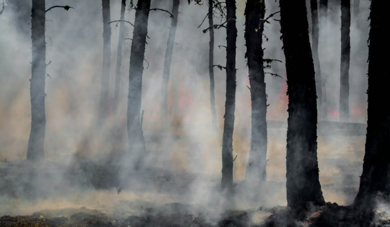 Firefighters Achieve 95% Containment of 22-Acre Brush Fire in West Miami-Dade, No Injuries Reported