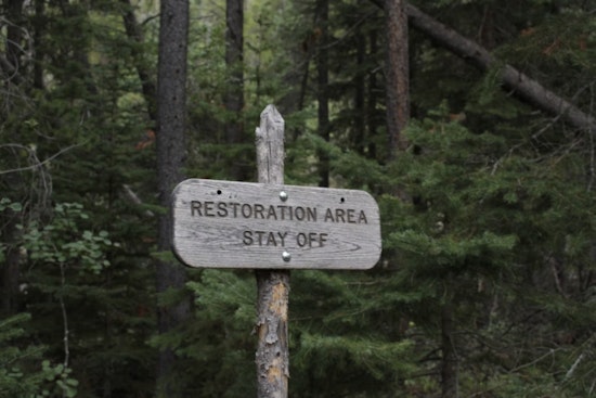 Flagstaff's Cheshire Pond Restoration to Begin, FUTS Trail Access Limited Until 2026