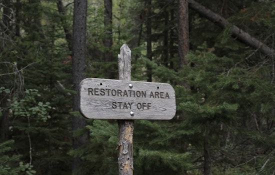 Flagstaff's Cheshire Pond Restoration to Begin, FUTS Trail Access Limited Until 2026