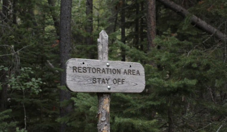 Flagstaff's Cheshire Pond Restoration to Begin, FUTS Trail Access Limited Until 2026