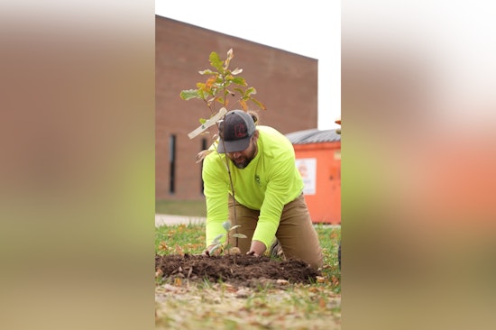 Florissant Community Plants 38 Trees in Koch Park, Boosting Biodiversity and Beautifying the Area