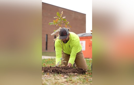 Florissant Community Plants 38 Trees in Koch Park, Boosting Biodiversity and Beautifying the Area