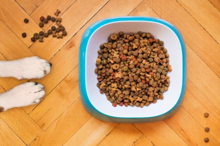 Folsom Pet Store Leads Compassionate Drive to Feed Pets During Government Shutdown