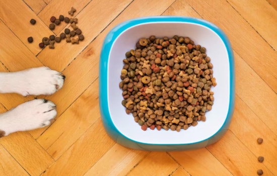 Folsom Pet Store Leads Compassionate Drive to Feed Pets During Government Shutdown