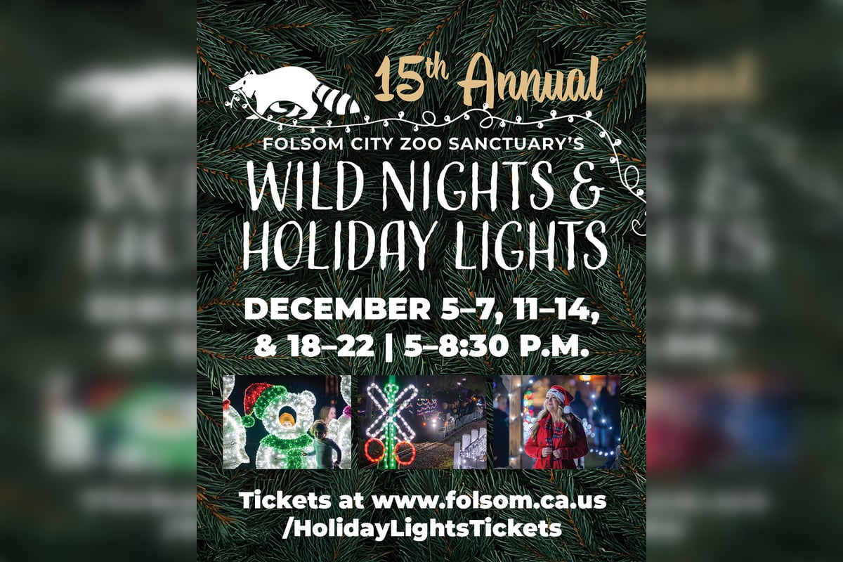 Folsom Zoo's Holiday Light Show Returns for 15th Year