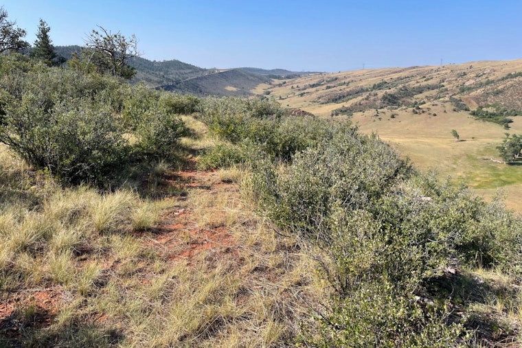 Fonay Family and Larimer County Partner to Preserve 800 Acres Adjacent to Red Mountain Open Space