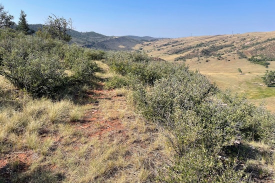 Fonay Family and Larimer County Partner to Preserve 800 Acres Adjacent to Red Mountain Open Space