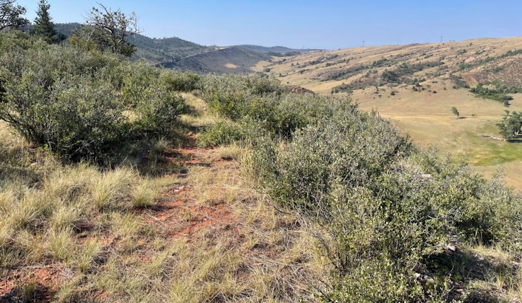 Fonay Family and Larimer County Partner to Preserve 800 Acres Adjacent to Red Mountain Open Space