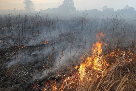 Fort Apache and White Mountain Apache Tribe Conduct Controlled Burns for Healthier Forests